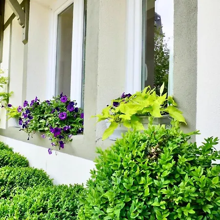 Maison De Charme A Cote De L'hippodrome Holiday home