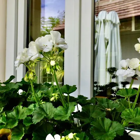 Maison De Charme A Cote De L'hippodrome Prázdninový dům *