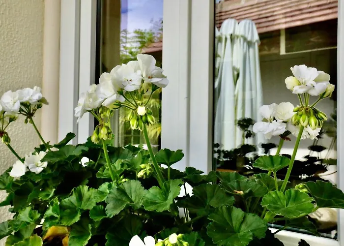 Maison De Charme A Cote De L'hippodrome Holiday home *